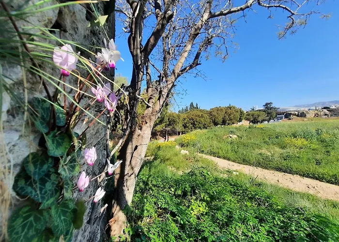 Kato Sea View With Pool アパート