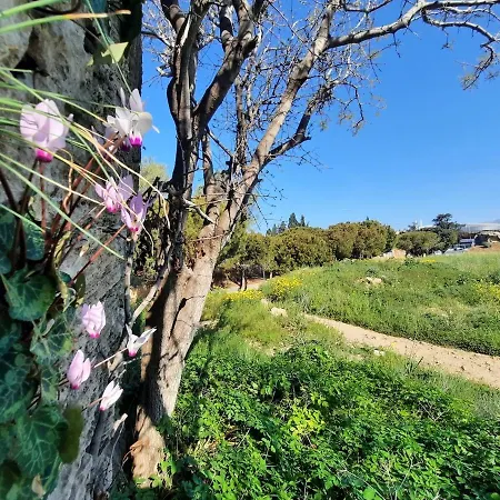 Kato Sea View With Pool Apartamento